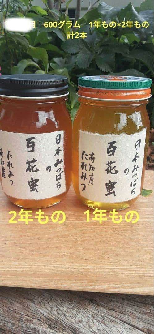 日本ミツバチ 蜂蜜 令和7年 採れたて 600g×2本 味比べ