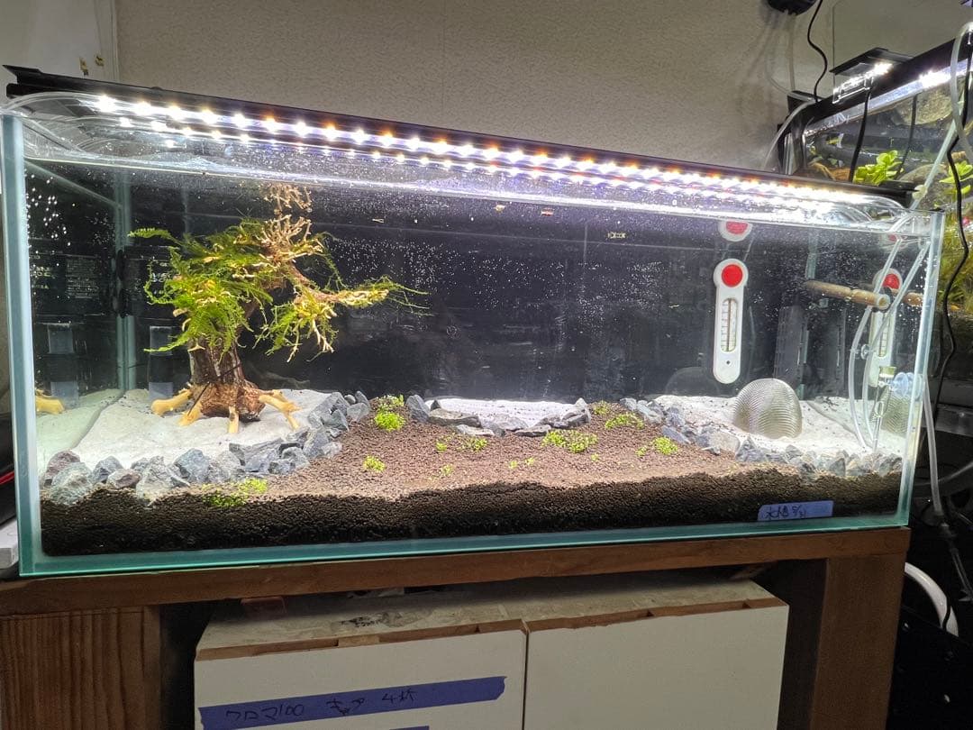 引き取り限定】下段のガラス水槽2個セット アクアリウム 最強