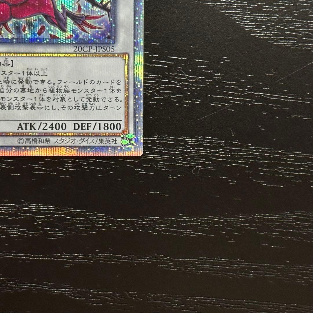 遊戯王 ブラックローズドラゴン 20th