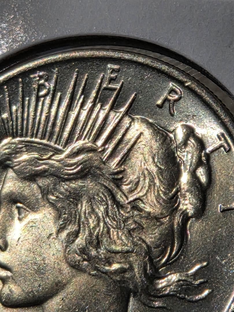 アメリカ合衆国　ピースダラー(1ドル)銀貨　1925