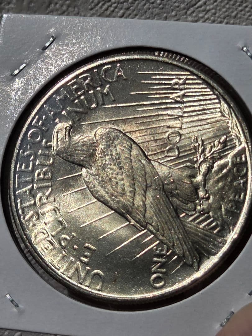 アメリカ合衆国　ピースダラー(1ドル)銀貨　1925