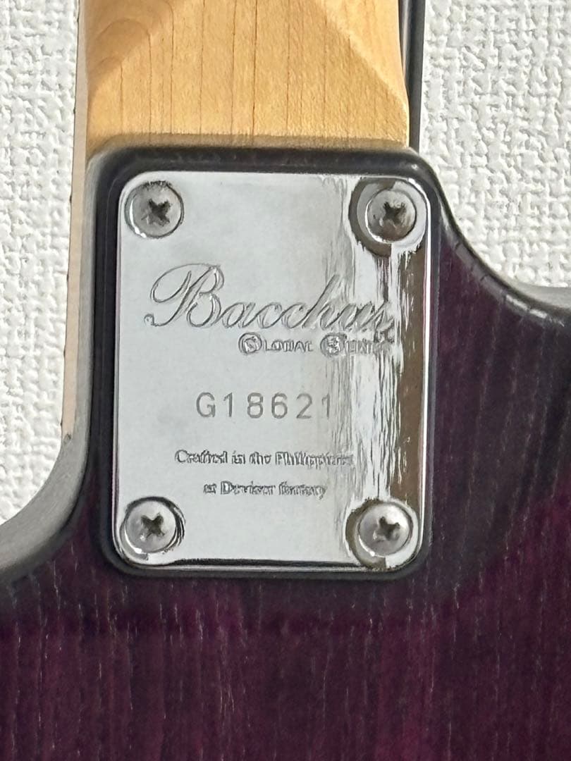 Bacchus バッカス Global Series グローバルシリーズ 紫