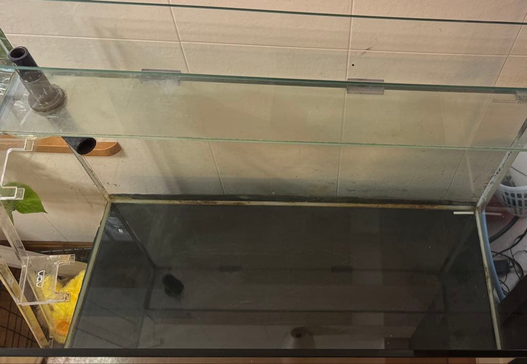 その1大型水槽 (ガラス水槽 オーバーフロー水槽 キャビネットセット)