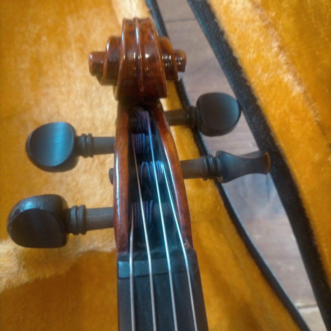 赤褐色 ビオラ本体