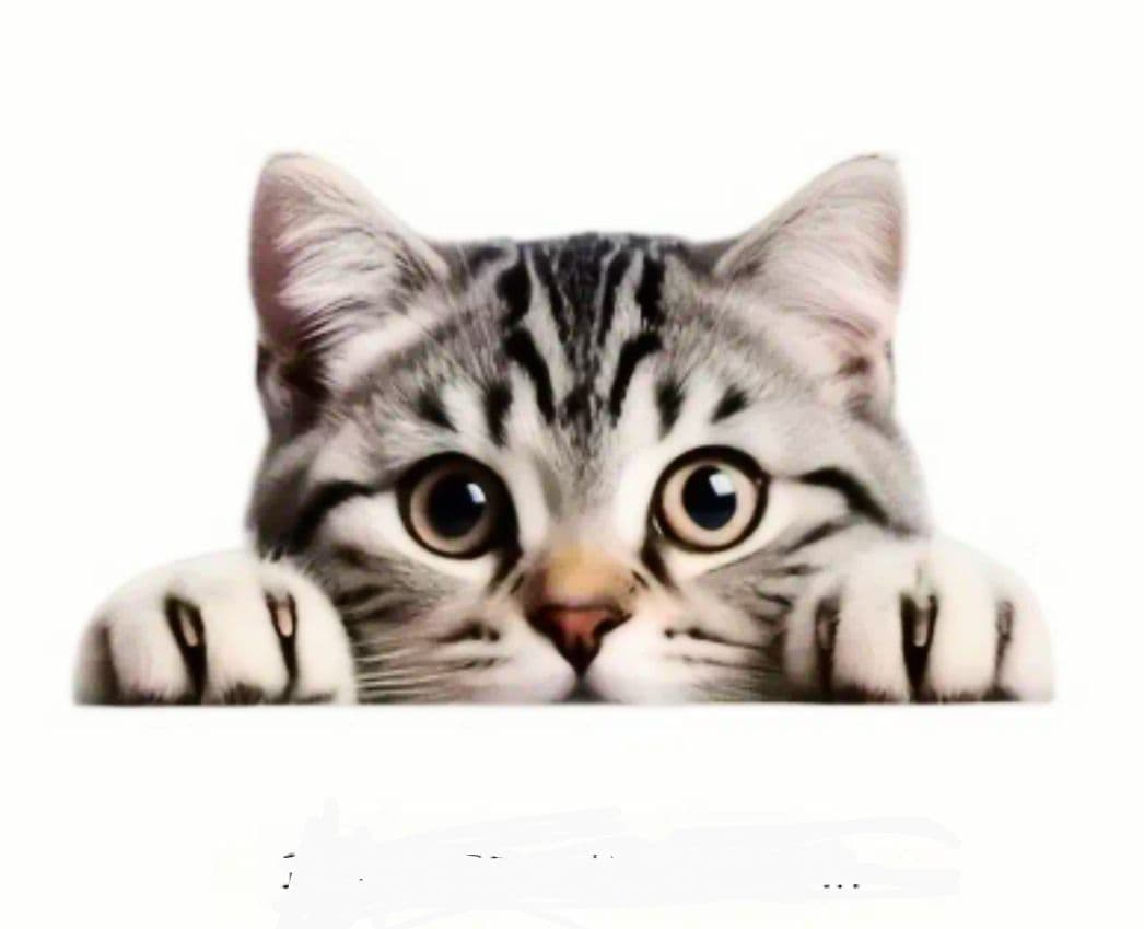 《最終値下げ❗️》タナカワークスM9ベレッタモデルガン 未発火