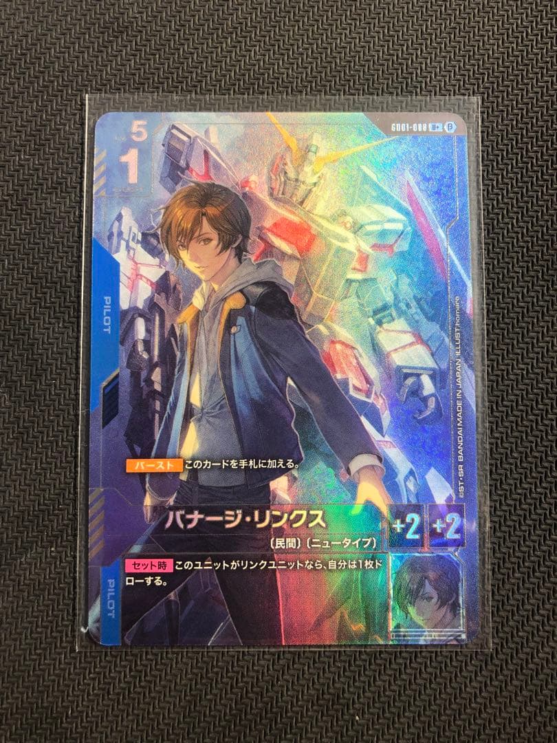 バナージ・リンクス パラレル