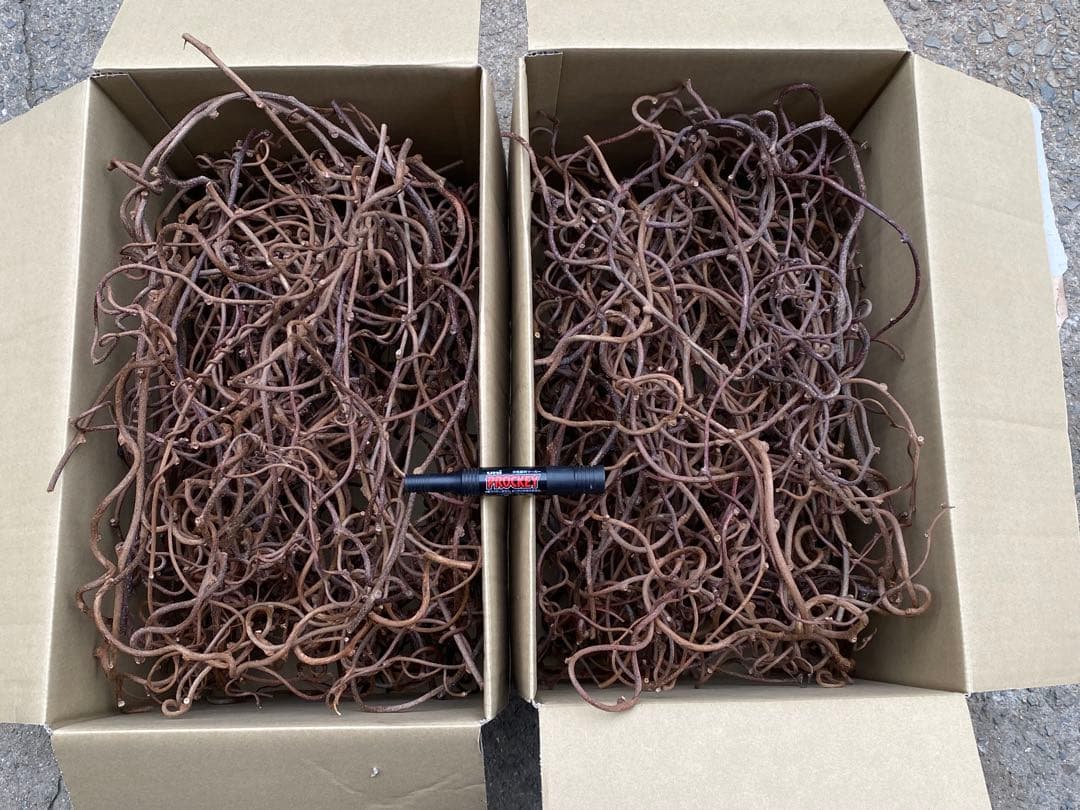 pp…専用 キウイつる 160サイズ