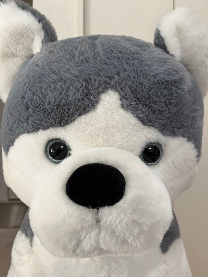 KOSENシベリアンハスキーぬいぐるみ シベリアンハスキー 特大