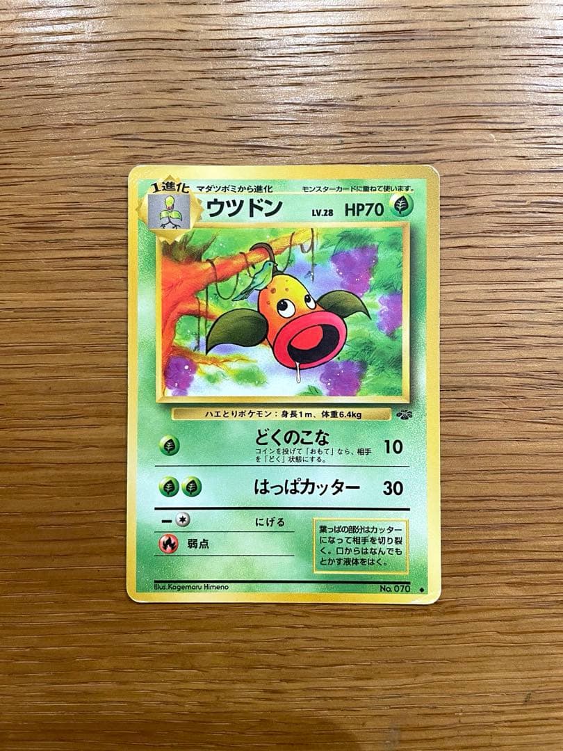 旧裏 ポケモンカード マダツボミ／ウツドン／ウツボット 希少 初期