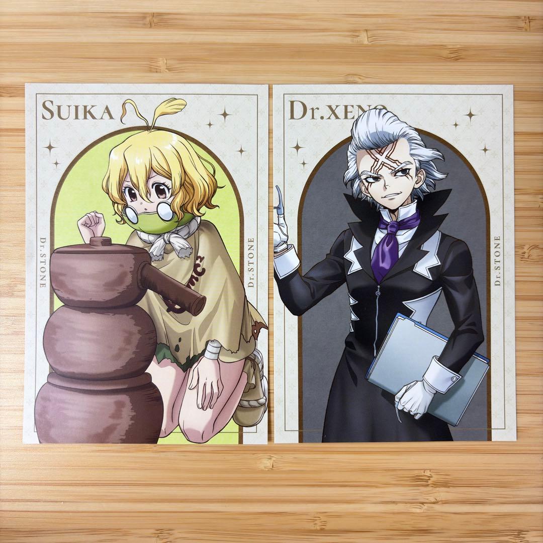 Dr.STONE トムスショップ ロフトコラボ 特典 ゼノ スイカ - メルカリ
