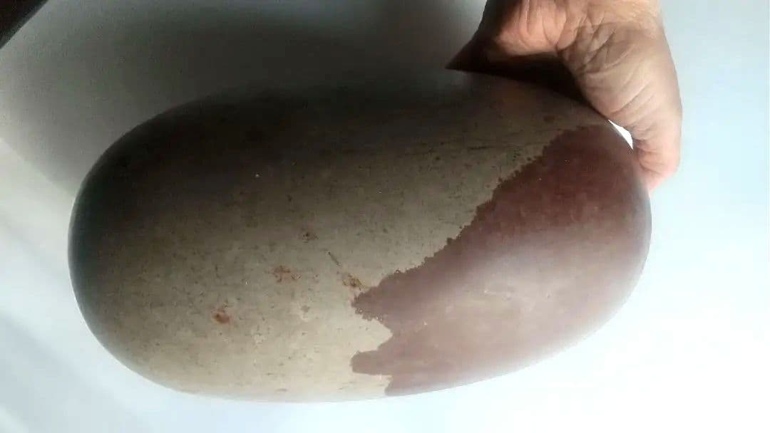 特大 希少価値‼️シバリンガム