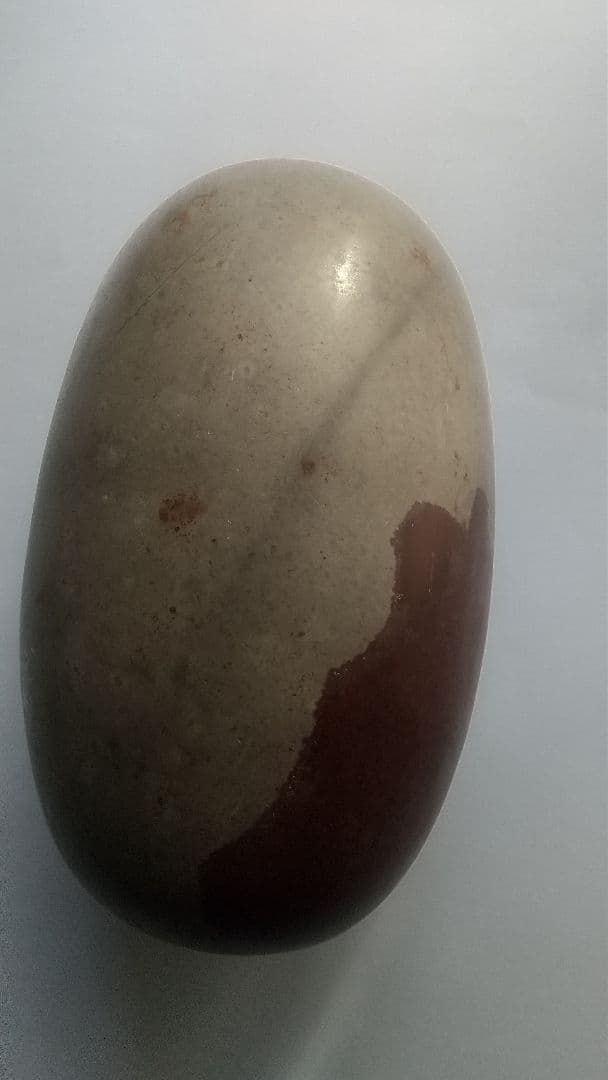 特大 希少価値‼️シバリンガム