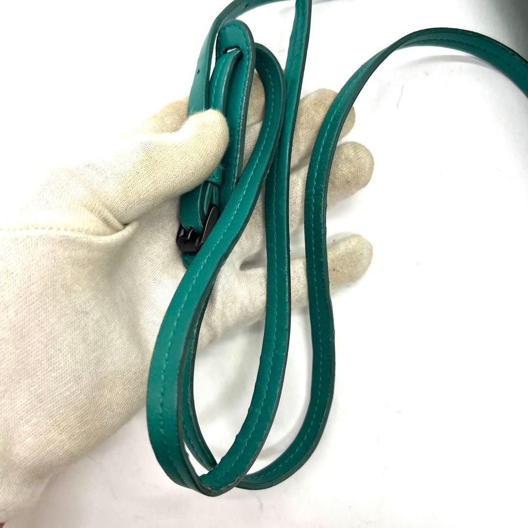 【極美品】ボッテガヴェネタ ノディーニ カメラバッグ イントレチャート 袋付き