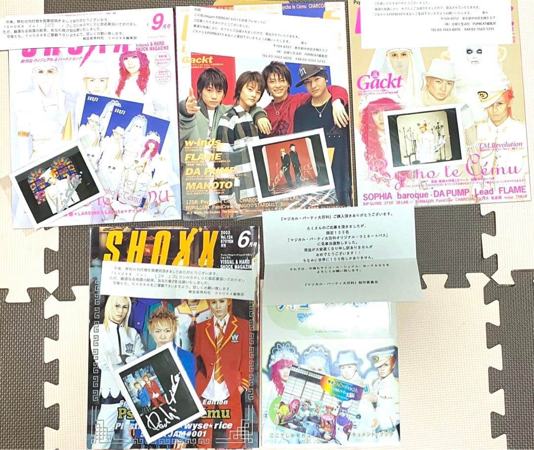 当選品】Lida AYA DAISHIサイン入りポラ他 サイコルシェイム