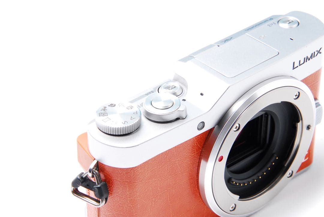 ショット数611回】LUMIX GF9 SNS Wi-Fi チルト ミラーレス - メルカリ