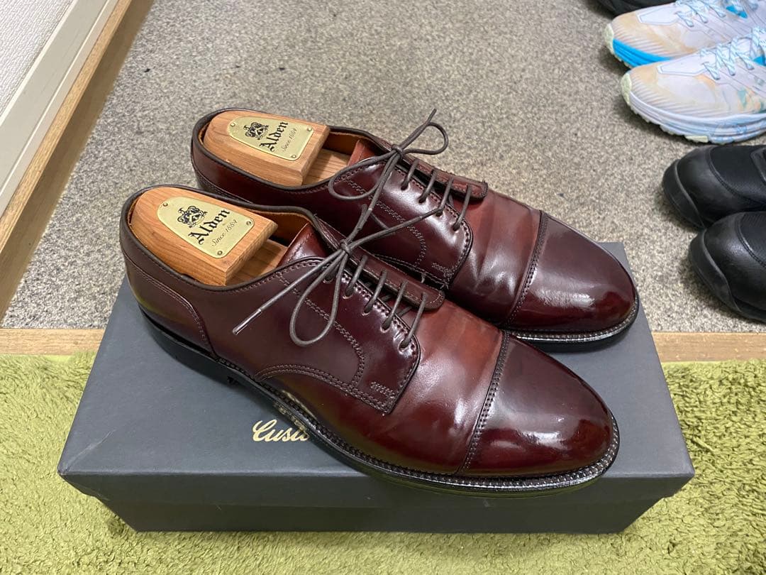 Alden / 2160 / コードバン / No.8 / 8.5D