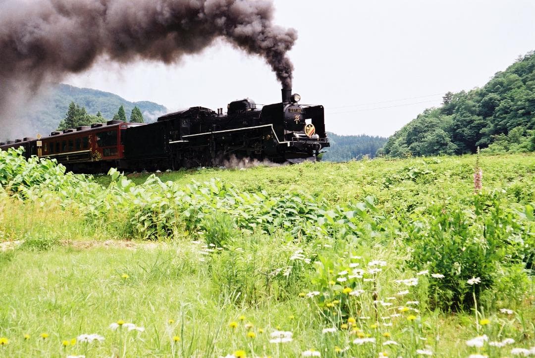 実写確認済整備品】フォクトレンダーVITOⅡa／カラースコパー50mmf3.5