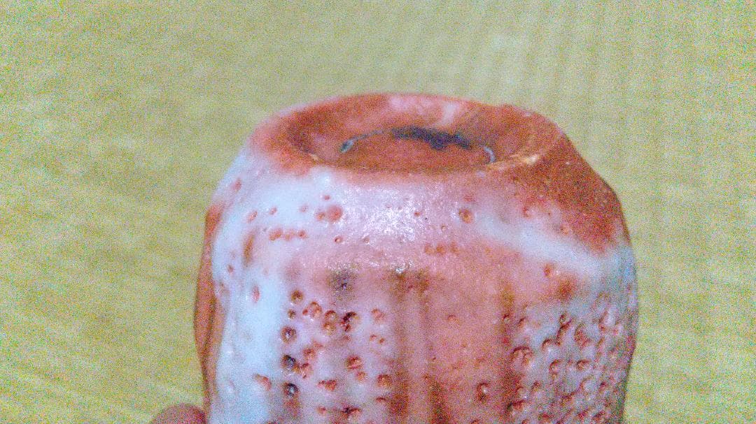 林正太郎 木賊紋・麦藁手 志野 ぐい呑 共箱