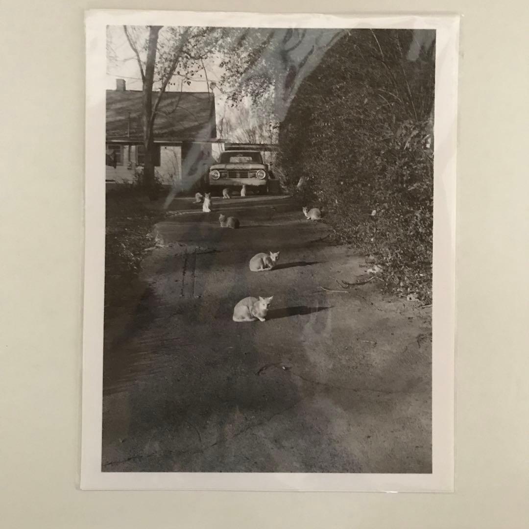 芸術写真 Mark Steinmetz / Original Print 芸術写真 Mark Steinmetz / Original Print Mark Steinmetz / Original