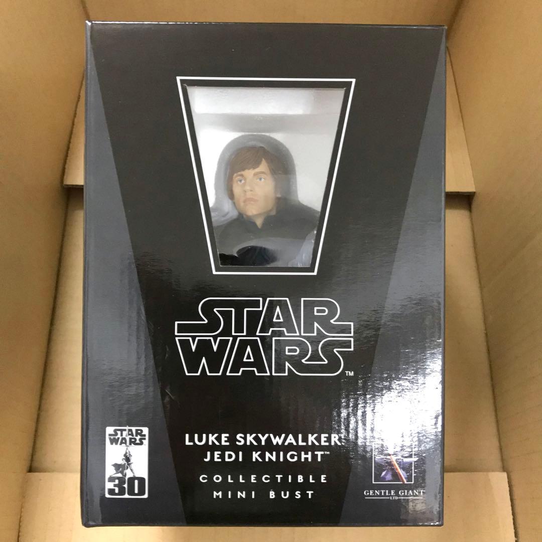 ジェントル・ジャイアント ルーク・スカイウォーカー ミニバスト スタチュー