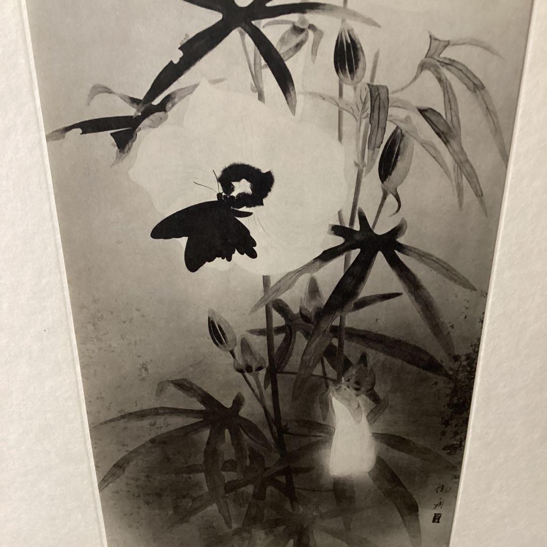 天才画家　速水御舟　作品集大作編　便利堂監修　画集【露　潤】　NO 41