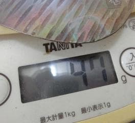処分価19（月）22時まで【小判 5両判金　箱入　玩具銭　美術工芸参考銭 】黄金
