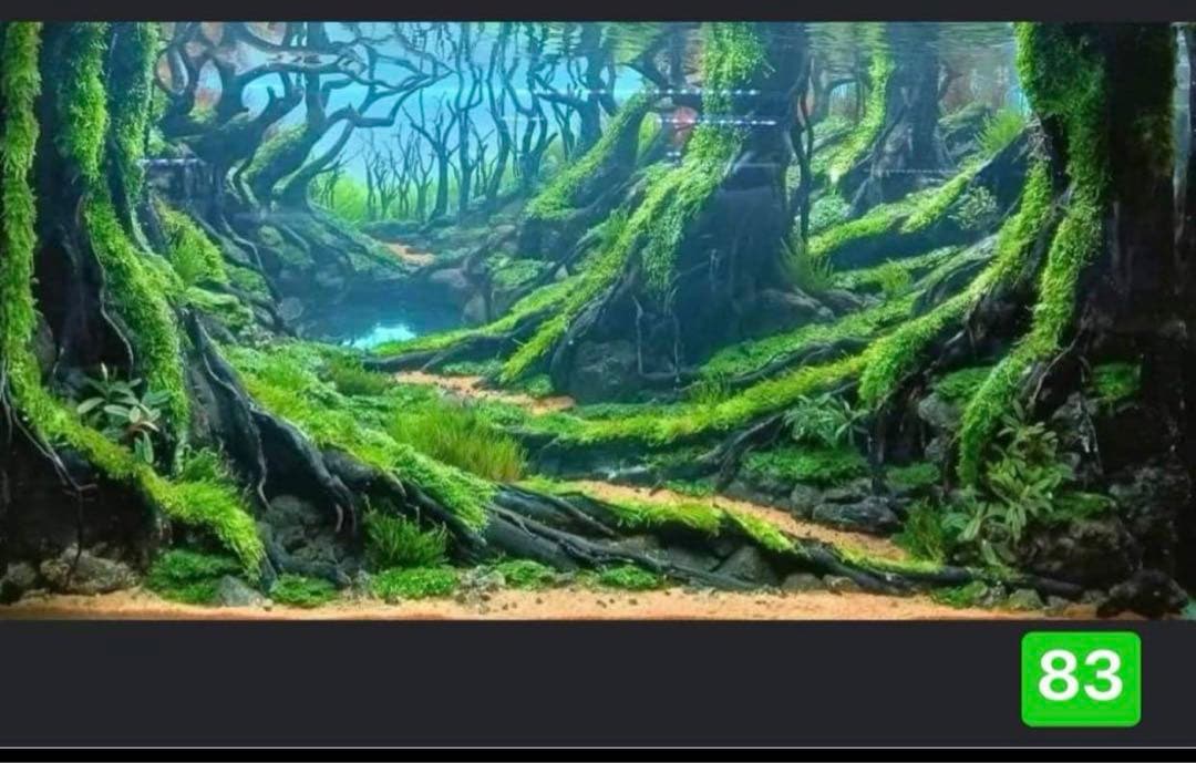 盆栽流木 水草用の 流木。流木アクアリウム パルダリウム マシンガンウッド