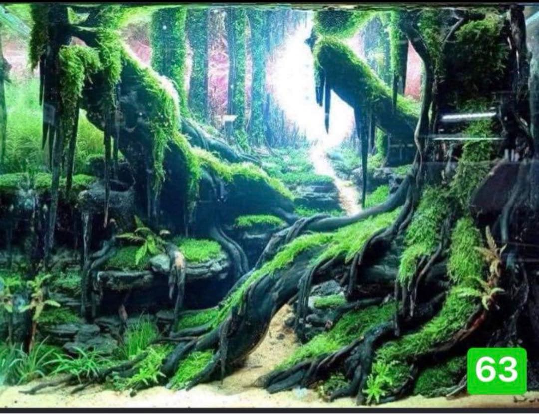 盆栽流木 水草用の 流木。流木アクアリウム パルダリウム マシンガンウッド