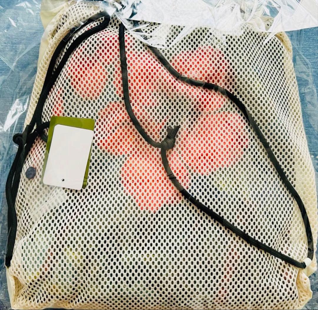 サウナ田ヒロユキ×サウベニア 限定別注 館内着上下＆ナップザック3点