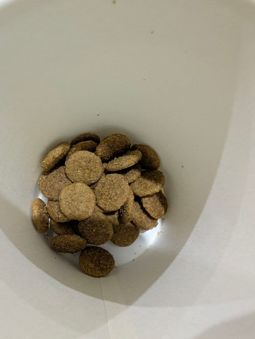 ファーストチョイスドッグフード ドライフード 18kg 成犬用 - メルカリ