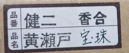 茶道具 黄瀬戸 宝珠 香合 水野健二 新品未使用