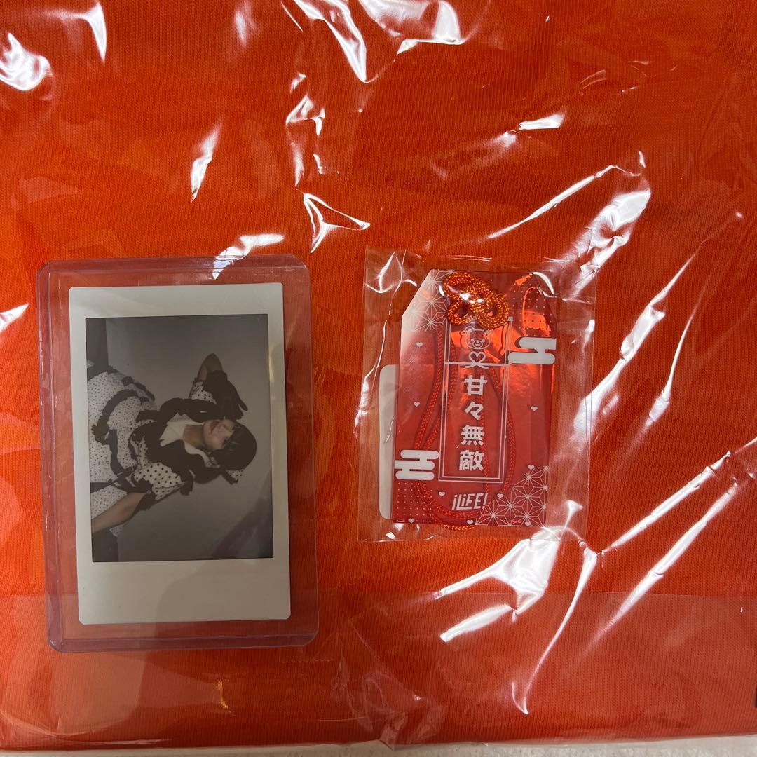 小熊まむセット