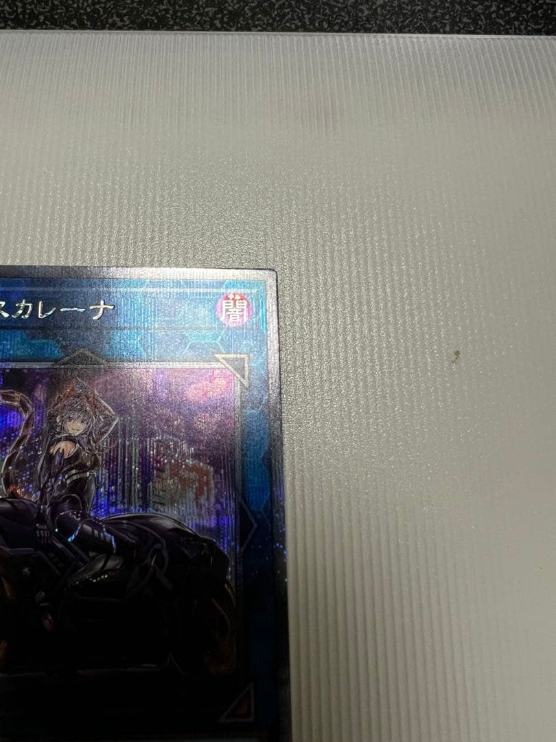 遊戯王　I:Pマスカレーナ　25th クオシク　QCシク