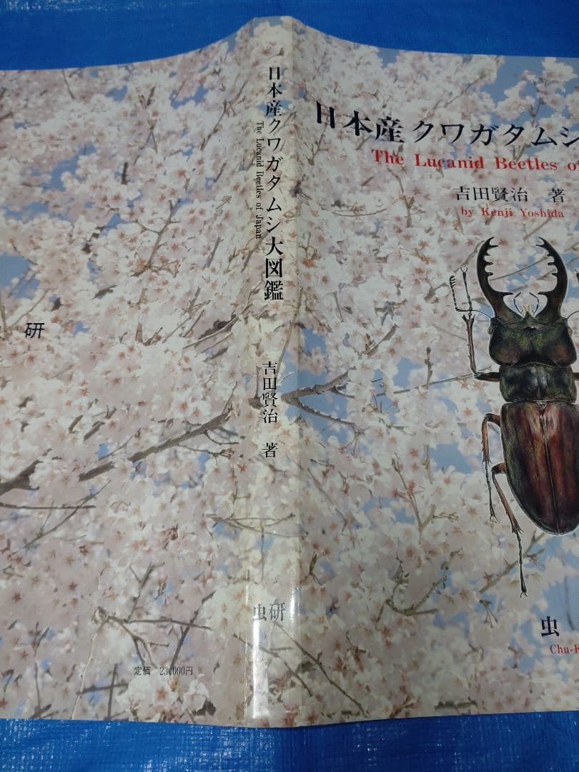 日本産クワガタムシ大図鑑 吉田賢治著 虫研 - メルカリ