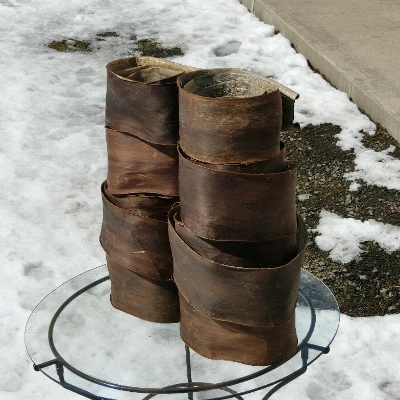 kico 胡桃 くるみ クルミ 皮 樹皮 約5kg