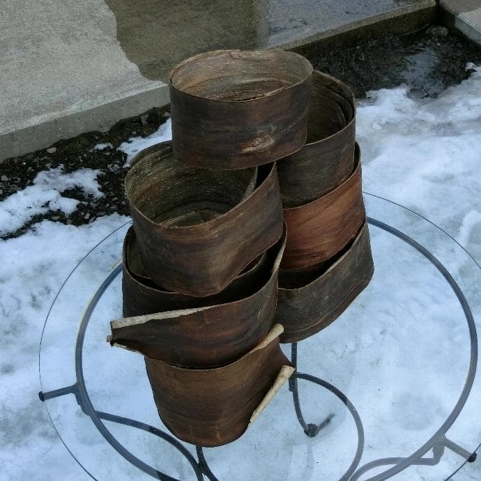 kico 胡桃 くるみ クルミ 皮 樹皮 約5kg