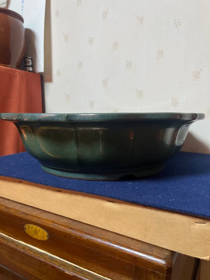 431 盆栽　盆栽鉢　植木鉢　和鉢　山秋