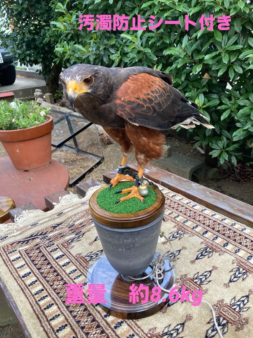 大型猛禽パーチＣ、　　　　　　　　　ファルコンブロック NEW大型猛禽パーチ、ファルコンブロック）フクロウ ホワイトLタイプ