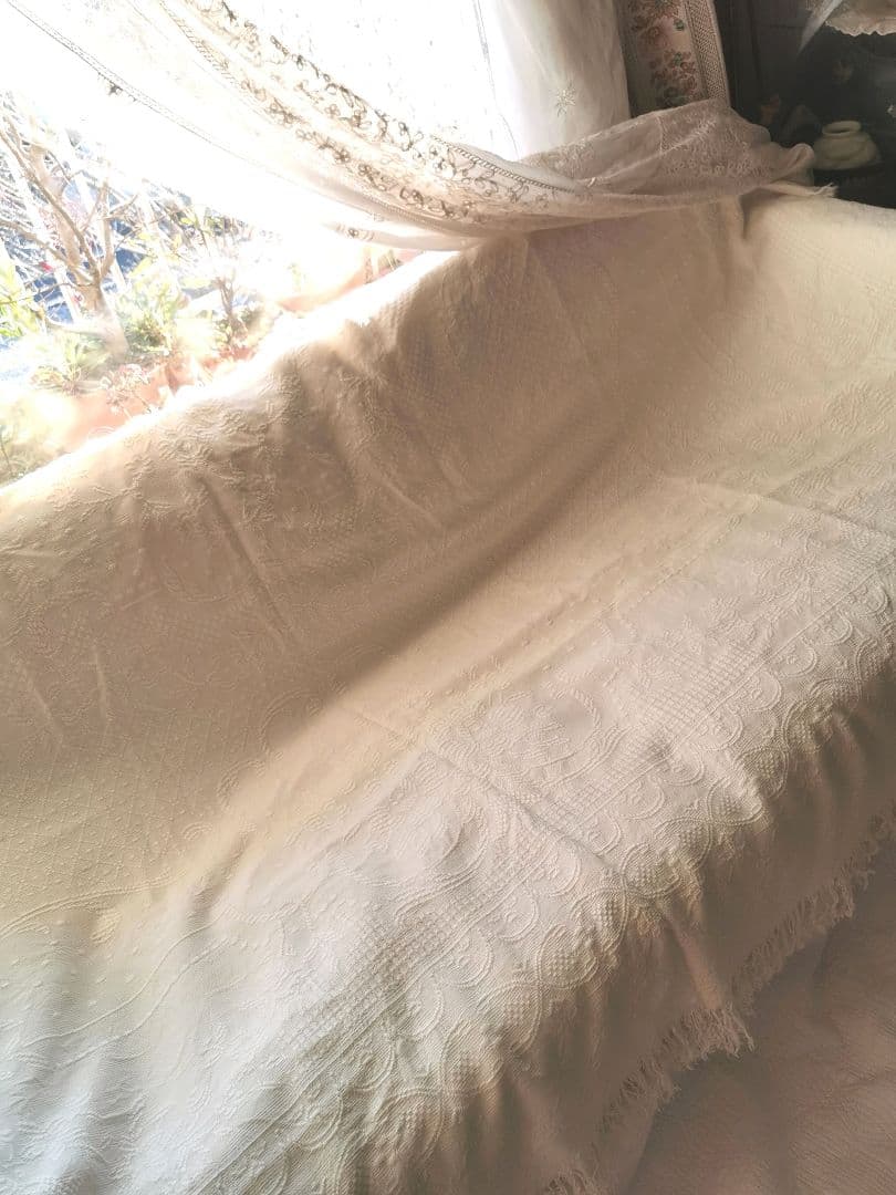 ヴィンテージ南仏 ピケドプロヴァンス 2024 メダイヨン＆花籠 交差