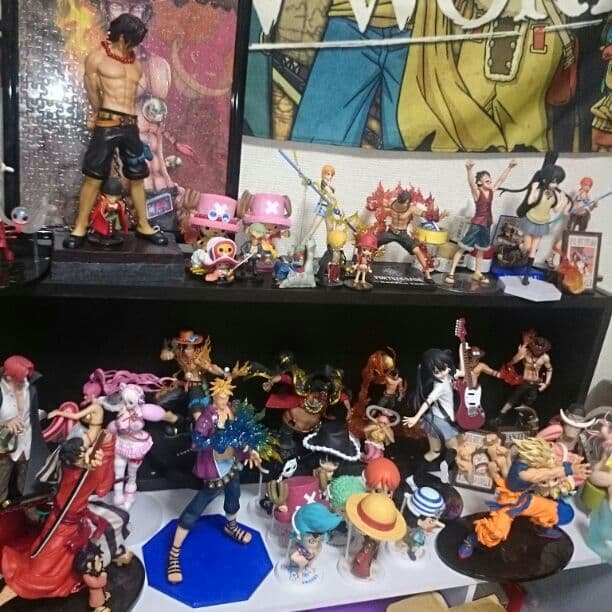 ワンピースフィギュア  確認用