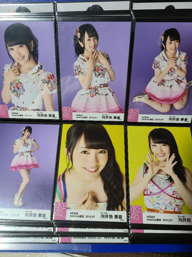 向井地美音 個別