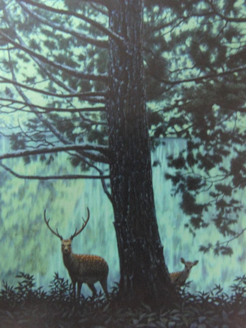 山地司、【鹿の住む森10】、希少な額装用画集より、新品額装付、状態良好