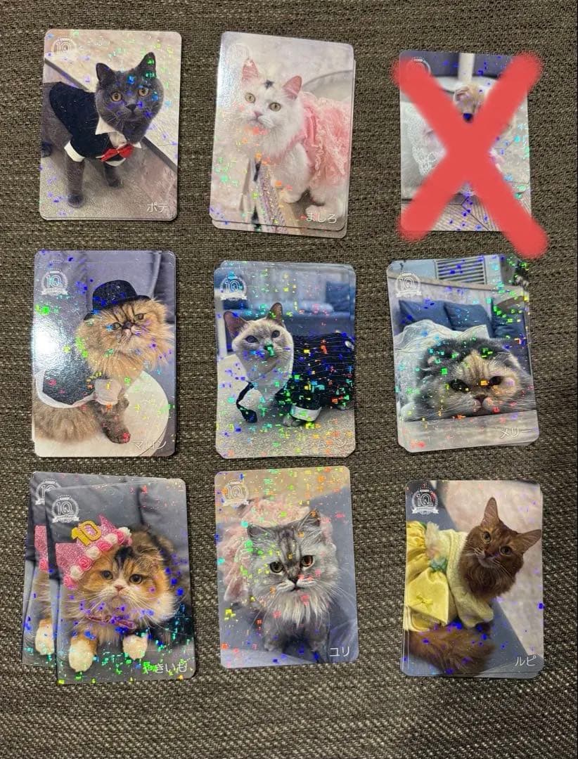 【バラ売り可】にゃんずトレカ町田ジョルナ店 2024