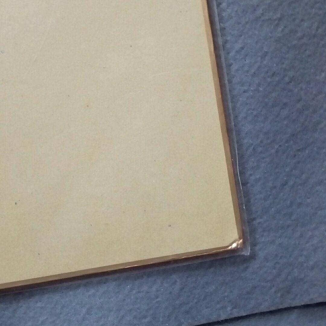 僕のヒーローアカデミア ヒロアカ 複製色紙 爆豪 爆豪勝己 緑谷 デク