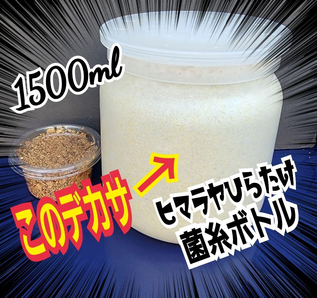 ヒマラヤひらたけ菌糸瓶1500ml 【５本】トレハロース、キトサン強化配合！ 極上！ヒマラヤひらたけ菌糸瓶 特大1500ml【5本セット】トレハロース
