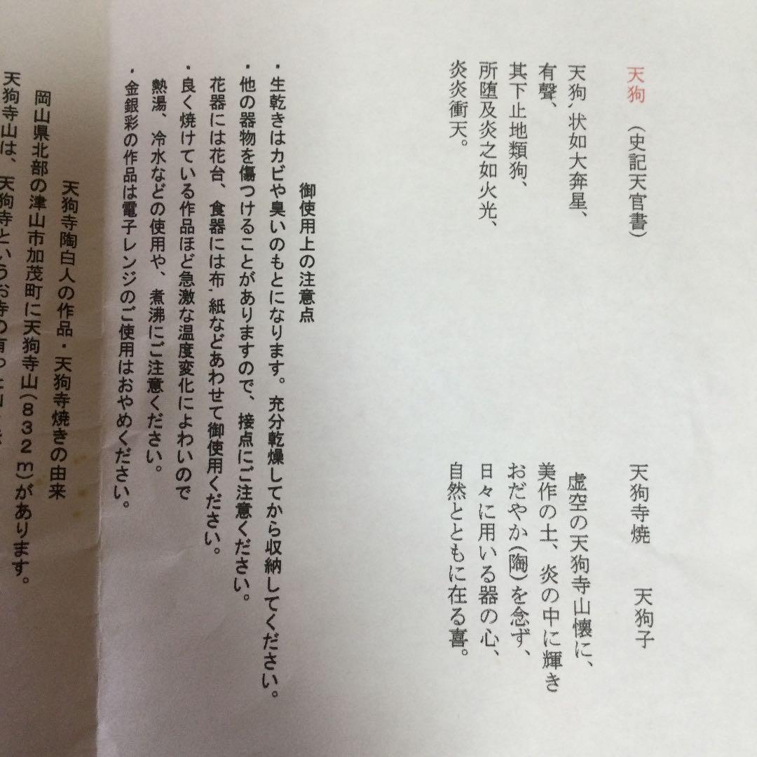 希少 絵皿 脚本家「高橋玄洋」さんと天狗寺「陶白人」のコラボ作品