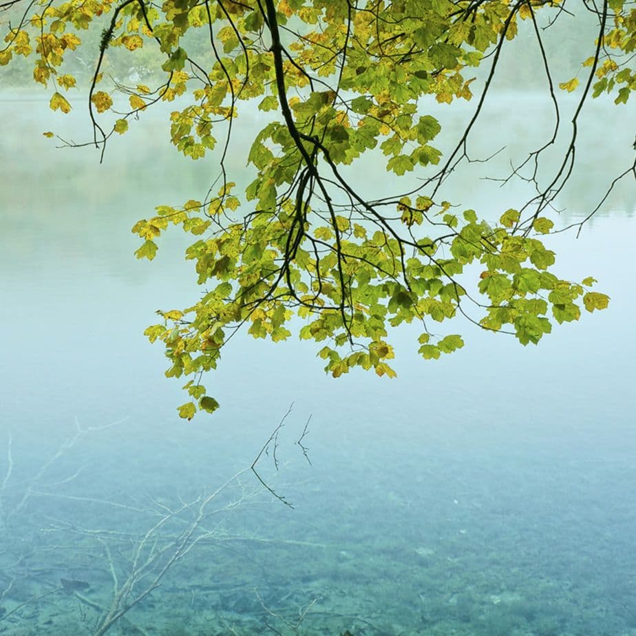 あんこう様専用ページ①