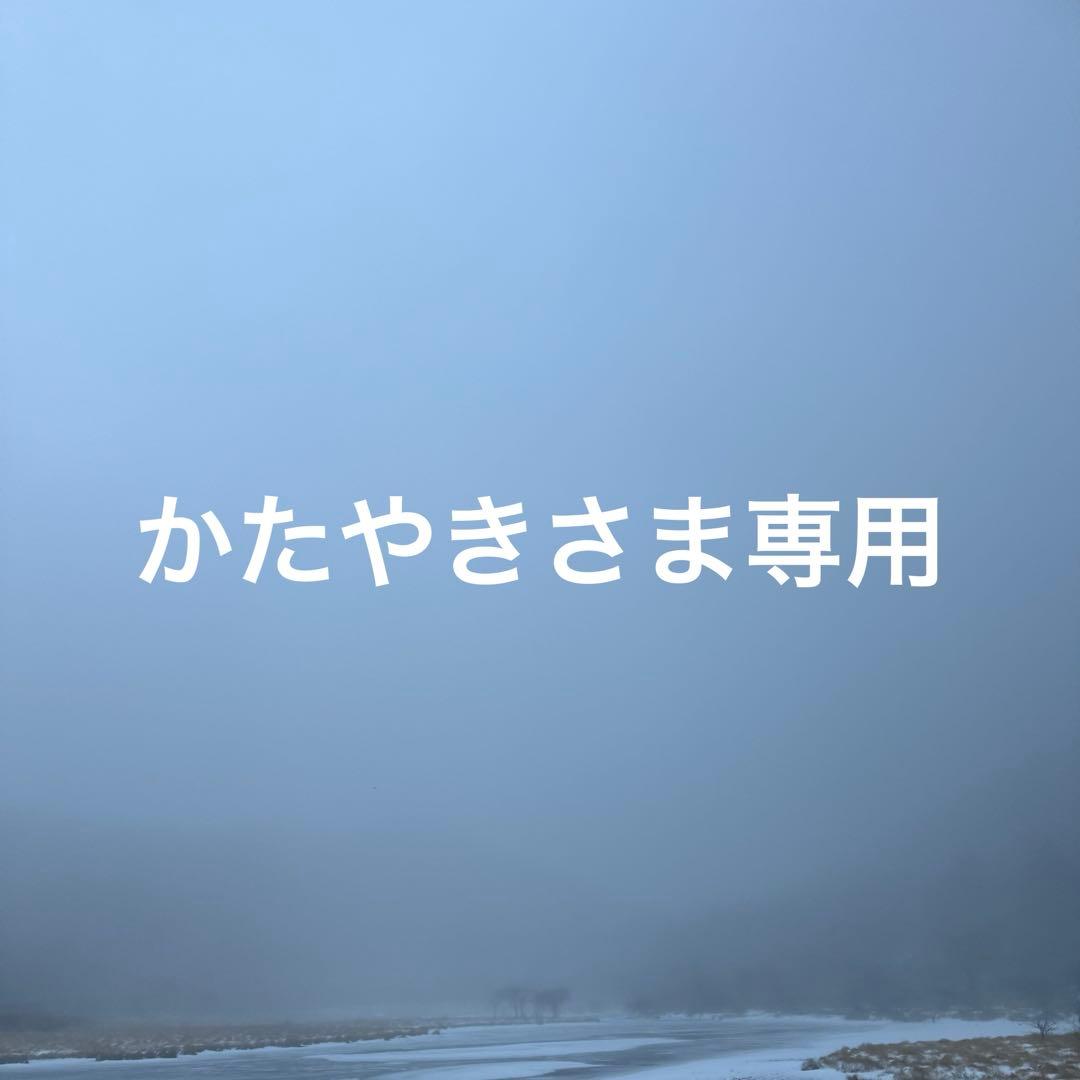 90s ハイスタ Hi-STANDARD バンド ツアーＴ 90's Hi-STANDARD Tshirt jerzees ハイスタンダード ハイスタ Tシャツ