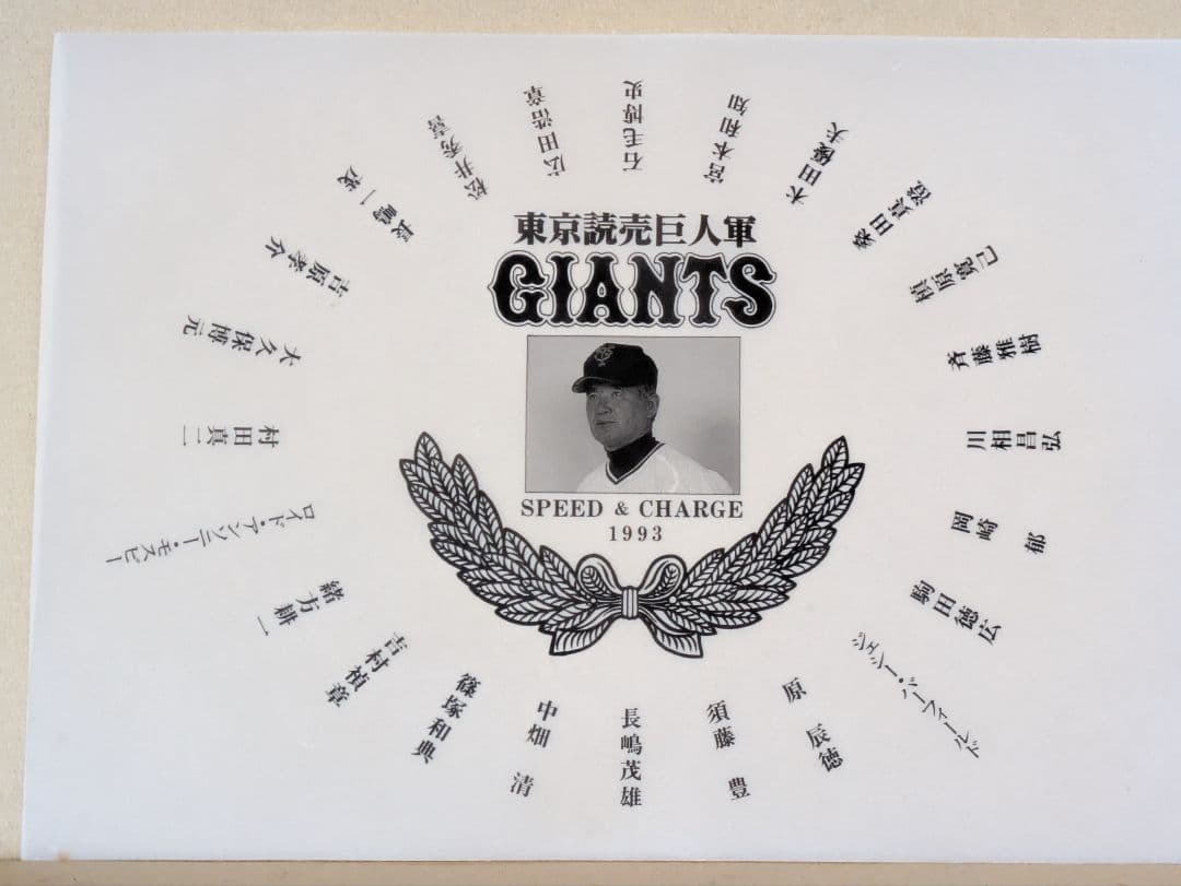 読売巨人軍 長嶋茂雄監督時代 選手サイン入り記念額縁1993年1994年