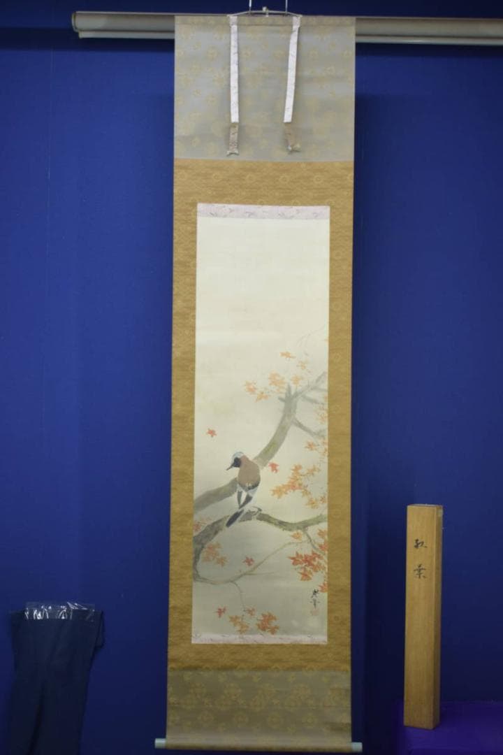真作/寺崎広業/小禽紅葉図/絹表装/桐共箱付/布袋屋掛軸HJ-74